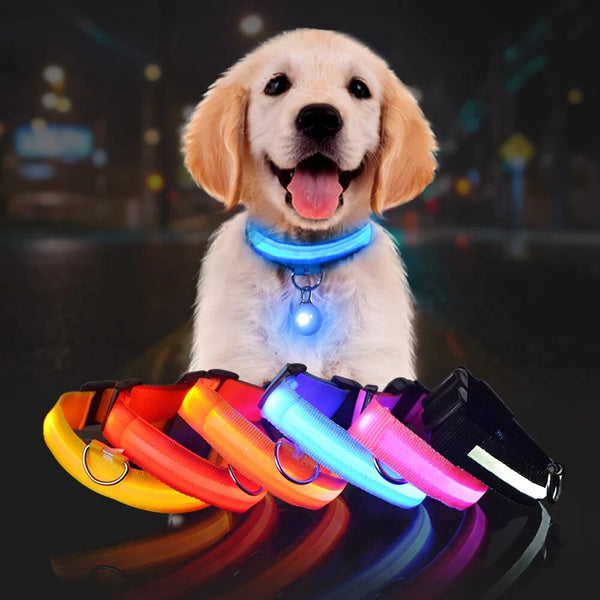 LED Glowing Night Safety Dog Collar